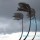 Hurricanes and Legal Custody